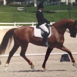 Meet your Posher, Gaye